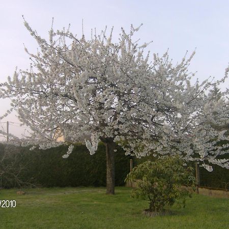 Nuitee Zen Apartamento Montigny-le-Chartif Exterior foto