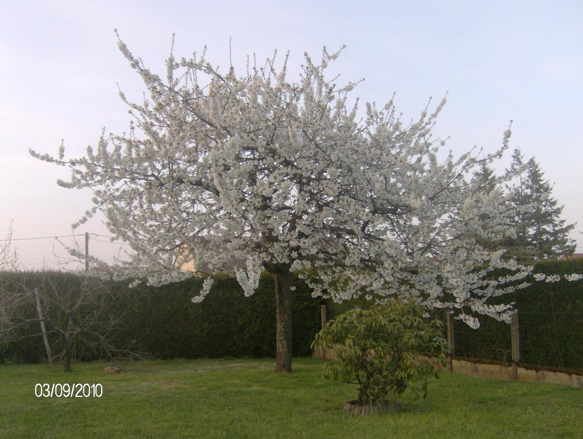 Nuitee Zen Apartamento Montigny-le-Chartif Exterior foto